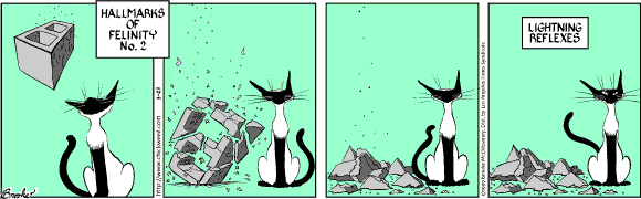 9 Chickweed Lane
Cartoon