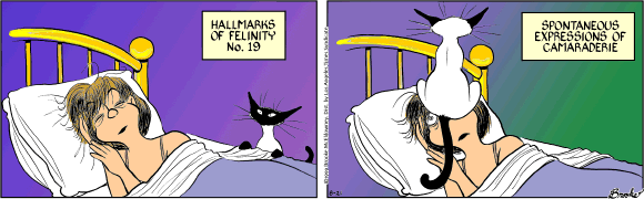 9 Chickweed Lane
Cartoon