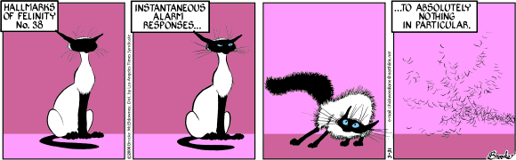 9 Chickweed Lane
Cartoon