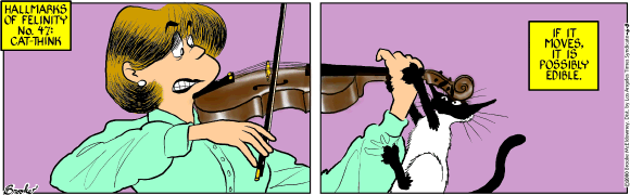 9 Chickweed Lane
Cartoon