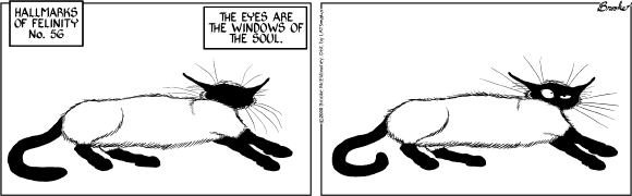 9 Chickweed Lane
Cartoon