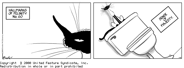 9 Chickweed Lane
Cartoon