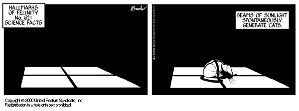 9 Chickweed Lane
Cartoon