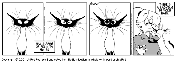 9 Chickweed Lane
Cartoon