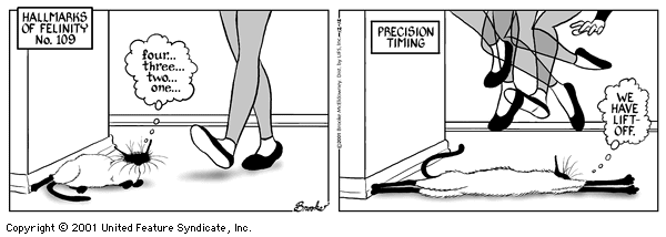 9 Chickweed Lane
Cartoon