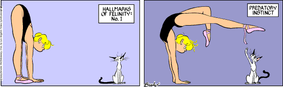 9 Chickweed Lane
Cartoon