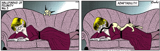 9 Chickweed Lane
Cartoon