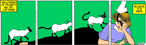9 Chickweed LaneCartoon