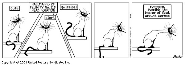 9 Chickweed Lane
Cartoon